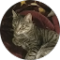 Yasdamy B Avatar